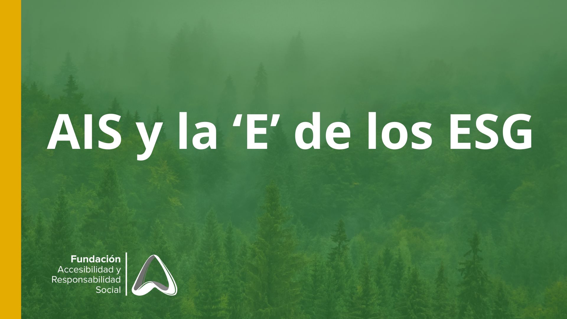 How accessibility and AIS impact on the environmental aspect of ESG